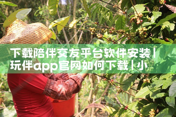 下载陪伴交友平台软件安装|小蓝视频
