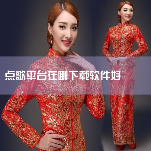 答案推荐：酷狗音乐。解释：一、酷狗音乐的特点 酷狗音乐作为一款受欢迎的点歌软件，提供了丰富的音乐资源，无论是流行音乐、经典老歌还是小众音乐，都能在这里找到。它拥有简洁明了的操作界面，方便用户快速上手。,抖阴