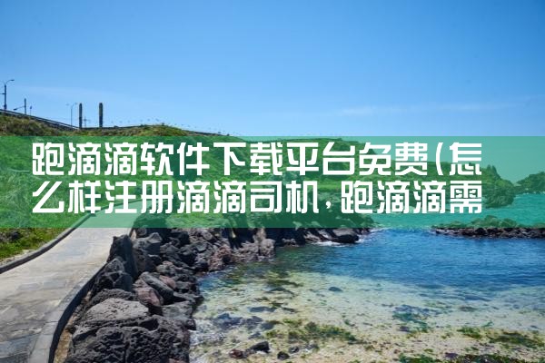 跑滴滴软件下载平台免费|小蓝视频
