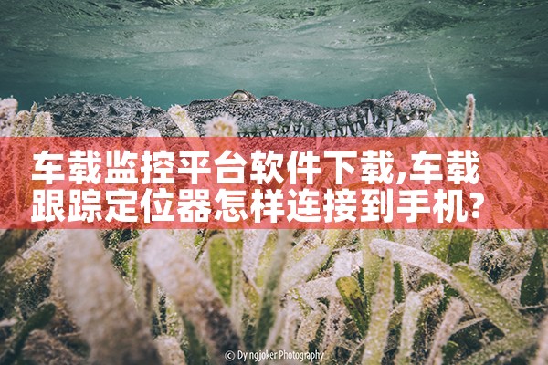 车载监控平台软件下载|哔咔漫画